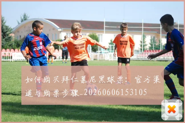 如何购买拜仁慕尼黑球票:官方渠道与购票步骤_20260606153105
