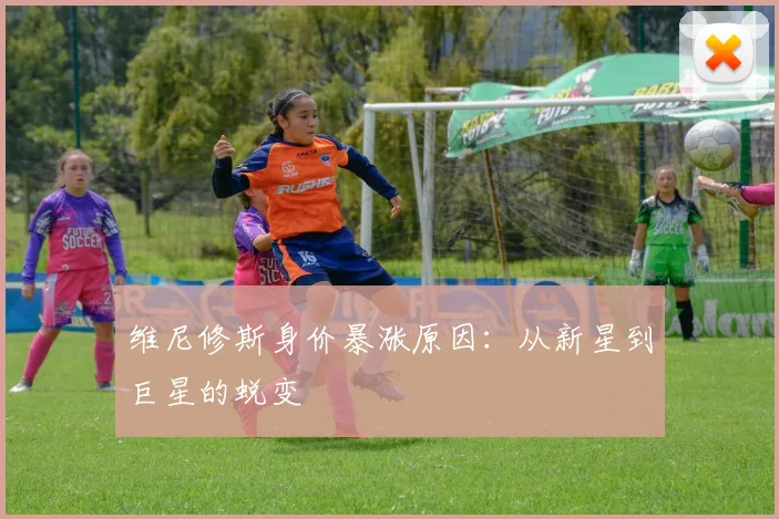 维尼修斯身价暴涨原因:从新星到巨星的蜕变