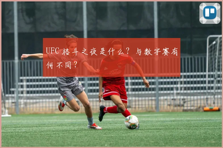UFC 格斗之夜是什么?与数字赛有何不同?