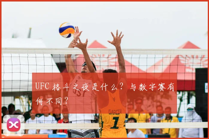 UFC 格斗之夜是什么?与数字赛有何不同?